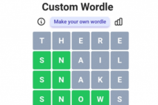 Custom Wordle