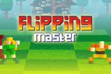 Flipping Master