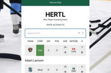 Hertl NHL