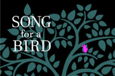 Song for a bird